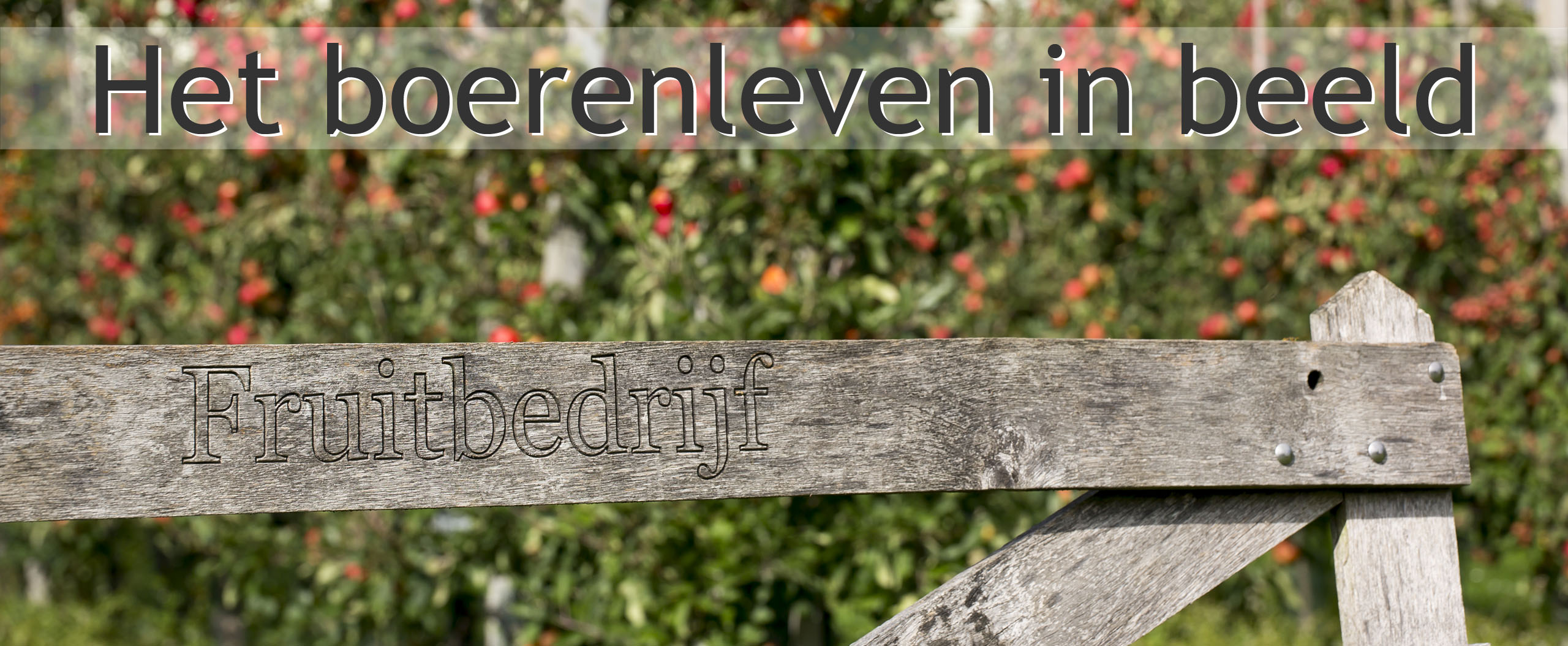 fruitteeltbedrijf